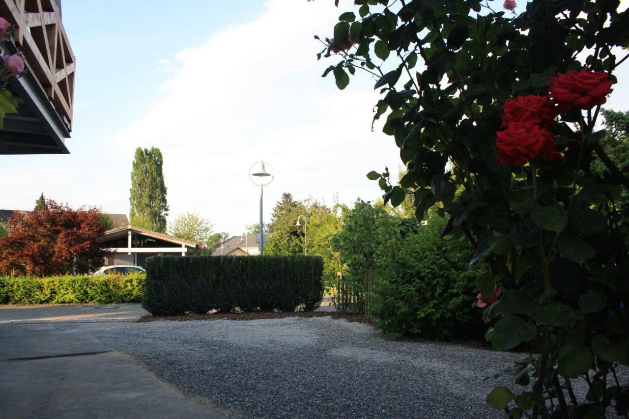 Ferienwohnung Anna - Charmante Ferienwohnung In Bevorzugter Lage コンスタンツ エクステリア 写真